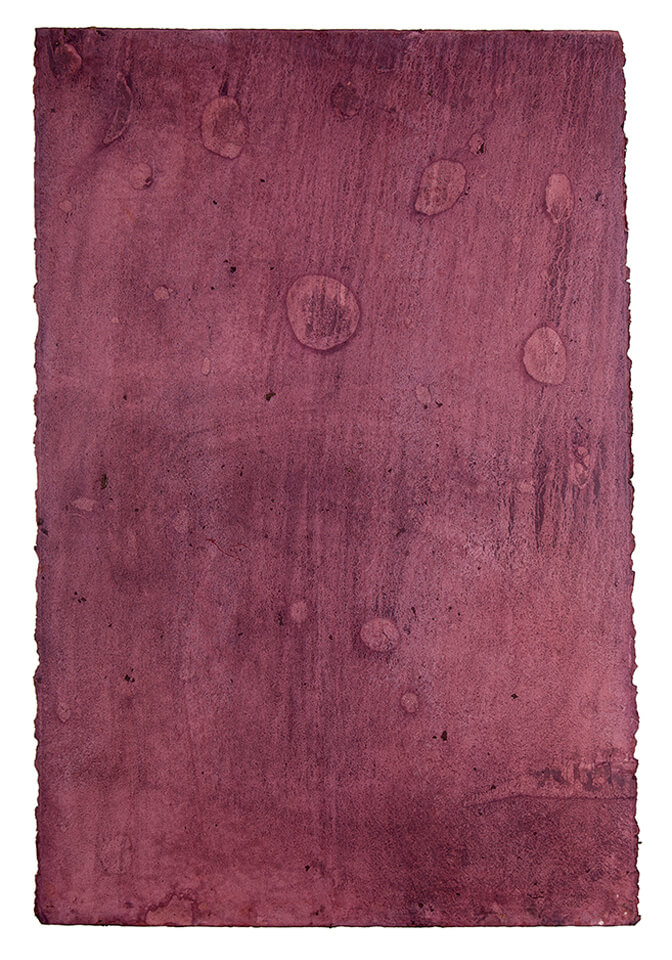 chokanary papel 07.jpg